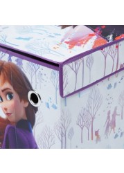 Disney Frozen II Print Storage Box