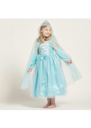 Fairy Princess Costume