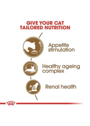 Royal Canin Feline Health Nutrition Ageing Cat Food (2 kg)