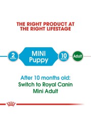 Royal Canin Mini Junior Dog Food (2 kg)