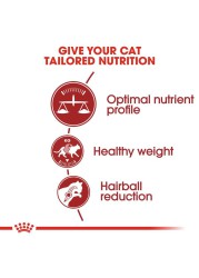 Royal Canin Feline Health Nutrition Fit Cat Food (2 kg)