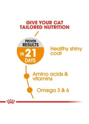 Royal Canin Feline Care Nutrition Hair & Skin Care Cat Food (Adult Cats, 4 kg)