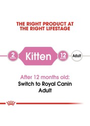 Royal Canin Feline Health Nutrition Digestive Health Cat Food (Kittens, 2 kg)