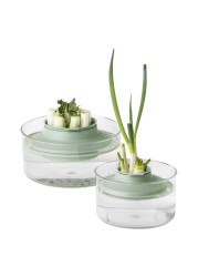 Brabantia Tasty+ Herbs & Vegetable Regrow Kit (18 x 10 cm)