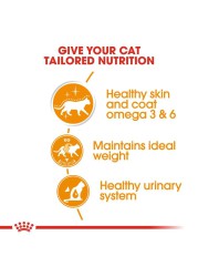 Royal Canin Feline Health Nutrition Intense Beauty Wet Cat Food (Chunks in Gravy, Adult Cats, 85 g)