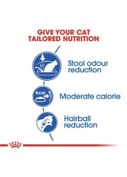 Royal Canin Feline Adult Complete Cat Food Indoor (4 kg)