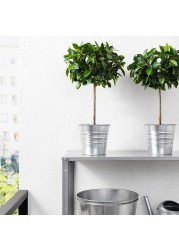 FEJKA Artificial potted plant