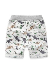 Children's Summer Loose Shorts Dinosaur Beachwear Personality Sports Socks 2-7 Years