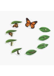 Learning Resources Magnetic Butterfly Life Cycle