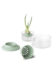 Brabantia Tasty+ Herbs & Vegetable Regrow Kit (18 x 10 cm)