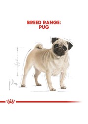 Royal Canin Breed Health Nutrition Pug Dog Food (1.5 kg)