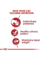 Royal Canin Feline Health Nutrition Instinctive Wet Cat Food (Chunks in Gravy, Adult Cats, 85 g)