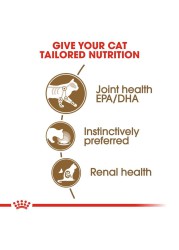 Royal Canin Feline Health Nutrition Ageing +12 Wet Cat Food (Chunks in Gravy, Adult Cats, 85 g)