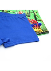 10pcs/lot Boys Boxer Briefs Kids Underwear Baby Boy Pants Cartoon Super Hero Print Soft Children Panties 2-9 Years 2021