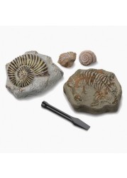 Discovery 5-Piece Toy Excavation Mini Fossil Kit