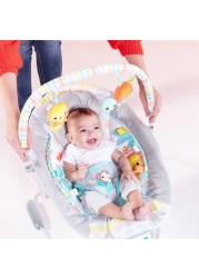 Bright Starts Cradling Bouncer with Toy Bar