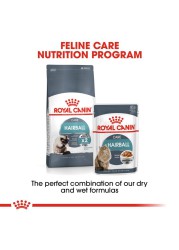 Royal Canin Hairball Care Dry Cat Food (Adult Cat, 4 kg)