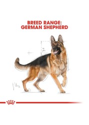 Royal Canin German Shepherd Dry Dog Food (Adult Dog 3 kg)