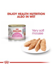 Royal Canin Mother & Babycat Dry Cat Food (Adult Cats/Kittens, 400 g)