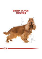 Royal Canin Breed Complete Cocker Spaniel Adult (3 kg)