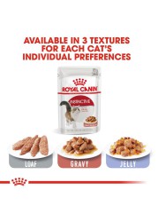 Royal Canin Feline Health Nutrition Instinctive Wet Cat Food (Chunks in Gravy, Adult Cats, 85 g)