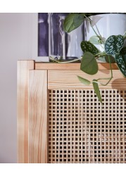 IVAR Shelving unit with doors