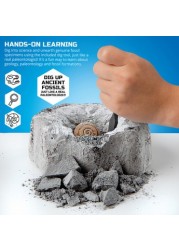 Discovery 5-Piece Toy Excavation Mini Fossil Kit