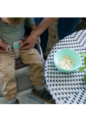 Ingenuity Toddler Booster Seat