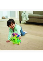 V-Tech 2-in-1 Push and Discover Turtle Toy