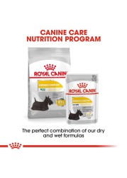 Royal Canin Canine Care Nutrition Dermacomfort Dry Dog Food (Mini Adult Dogs, 3 kg)