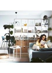 KALLAX Shelving unit