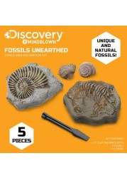 Discovery 5-Piece Toy Excavation Mini Fossil Kit