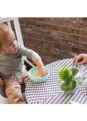 Ingenuity Toddler Booster Seat