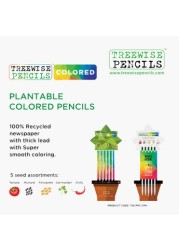 Treewise Wood Free Plantable Colour Pencil - Set of 5