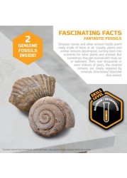 Discovery 5-Piece Toy Excavation Mini Fossil Kit